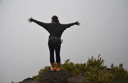 This is Survivorship